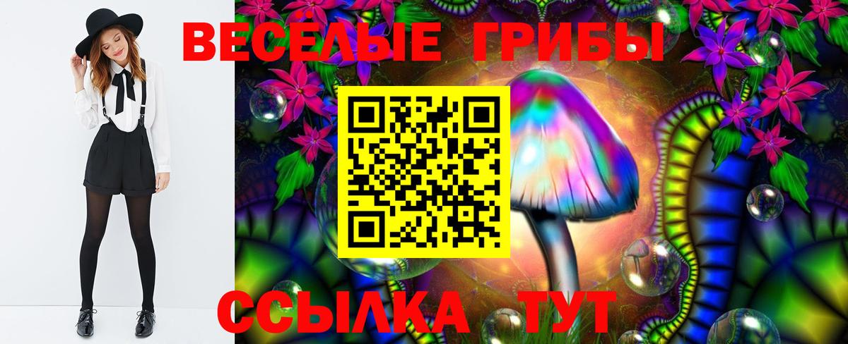 Барнаул  Псилоцибиновые грибы мицелий  Вход с VPN 