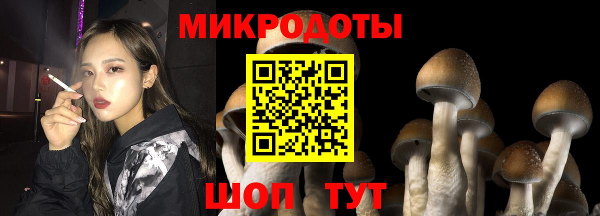 Галлюциногенные грибы прущие грибы Барнаул